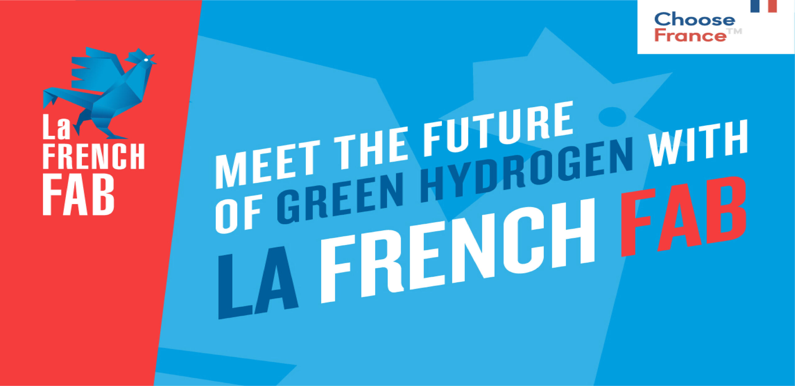 France: pioneer in green hydrogen - Bpifrance.com